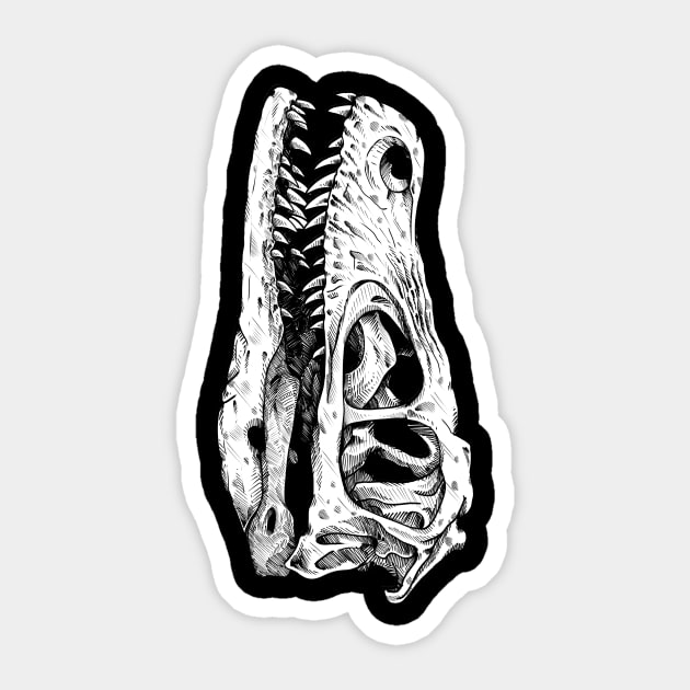 Raptor skull for science Sticker by paintchips